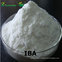 X-Humate Hot Sales Rooting Hormones Iba 98%Tc